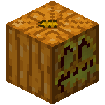 pumpkin pumpkin