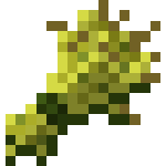 wheat wheat